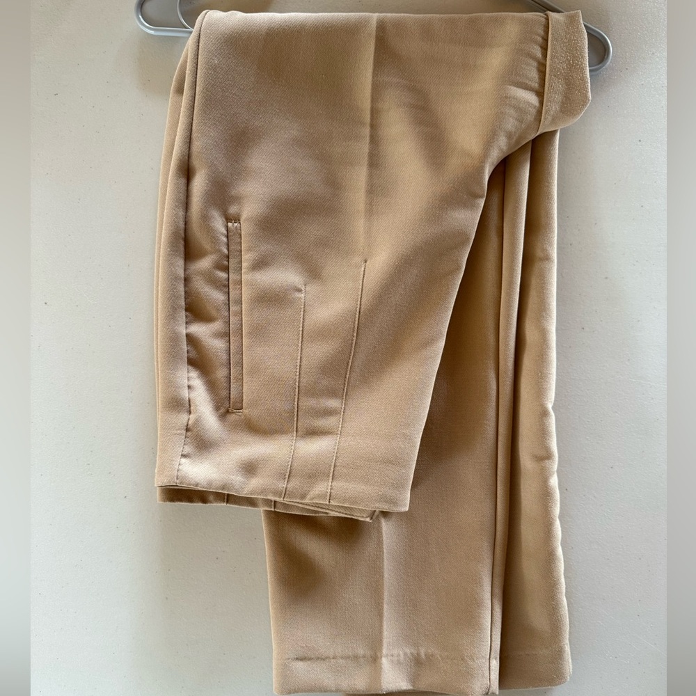 Zara Beige Pleated Panta